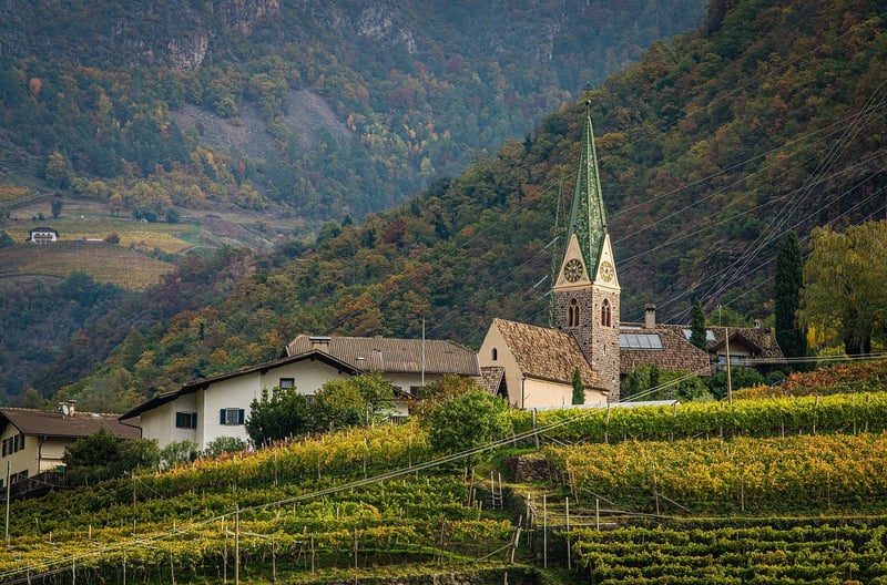 Hiking and Picnic in the Vineyards